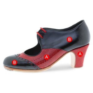 flamenco-shoe-professional-tiento zones